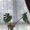 deborahlee818